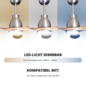 Deckenventilator mit Beleuchtung Modell Noctra