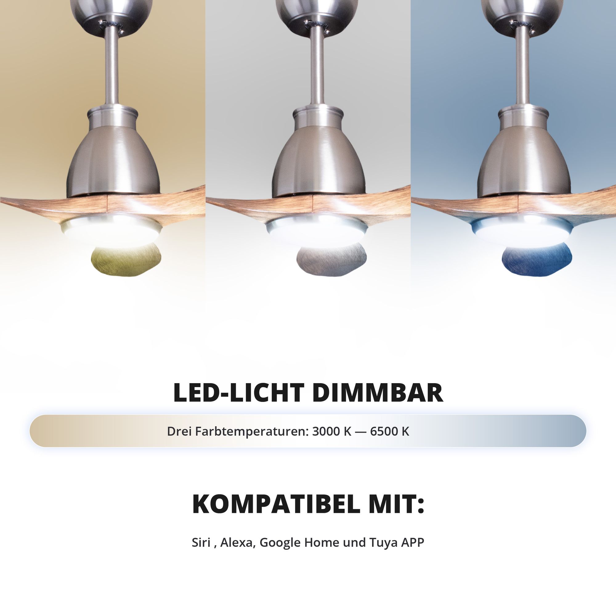Deckenventilator mit Beleuchtung Modell Noctra