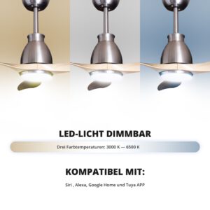 Deckenventilator mit Beleuchtung Modell Veya