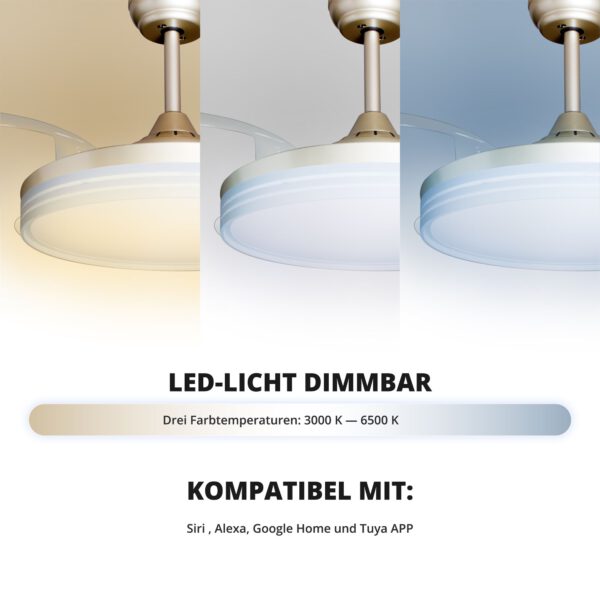 Deckenventilator mit Beleuchtung – goldfarbene Basis, modernes Design & LED-Licht