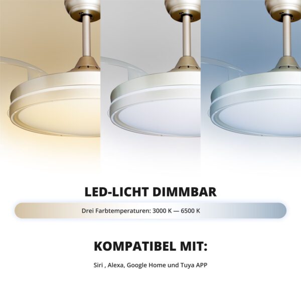 Deckenventilator mit Beleuchtung – goldfarbene Basis, modernes Design & LED-Licht