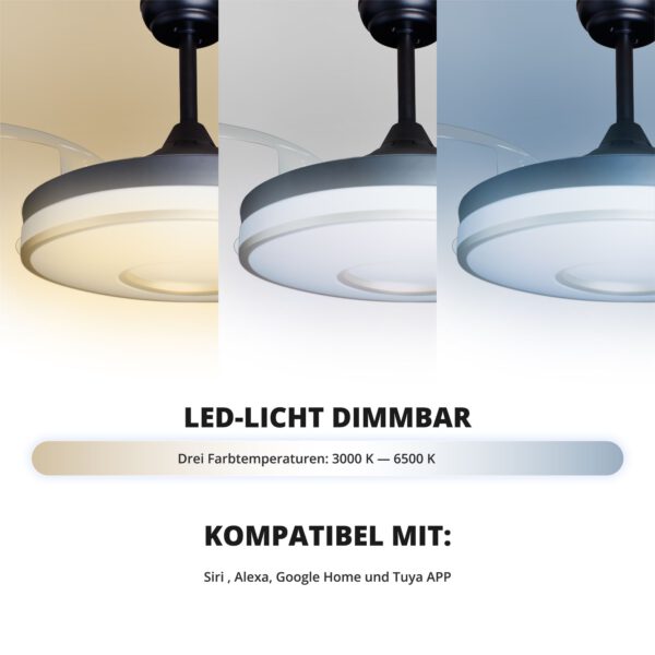Deckenventilator mit Beleuchtung – schwarze Basis, modernes Design & LED-Licht