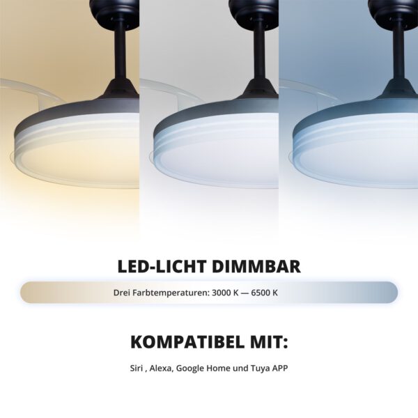 Deckenventilator mit Beleuchtung – schwarze Basis, modernes Design & LED-Licht