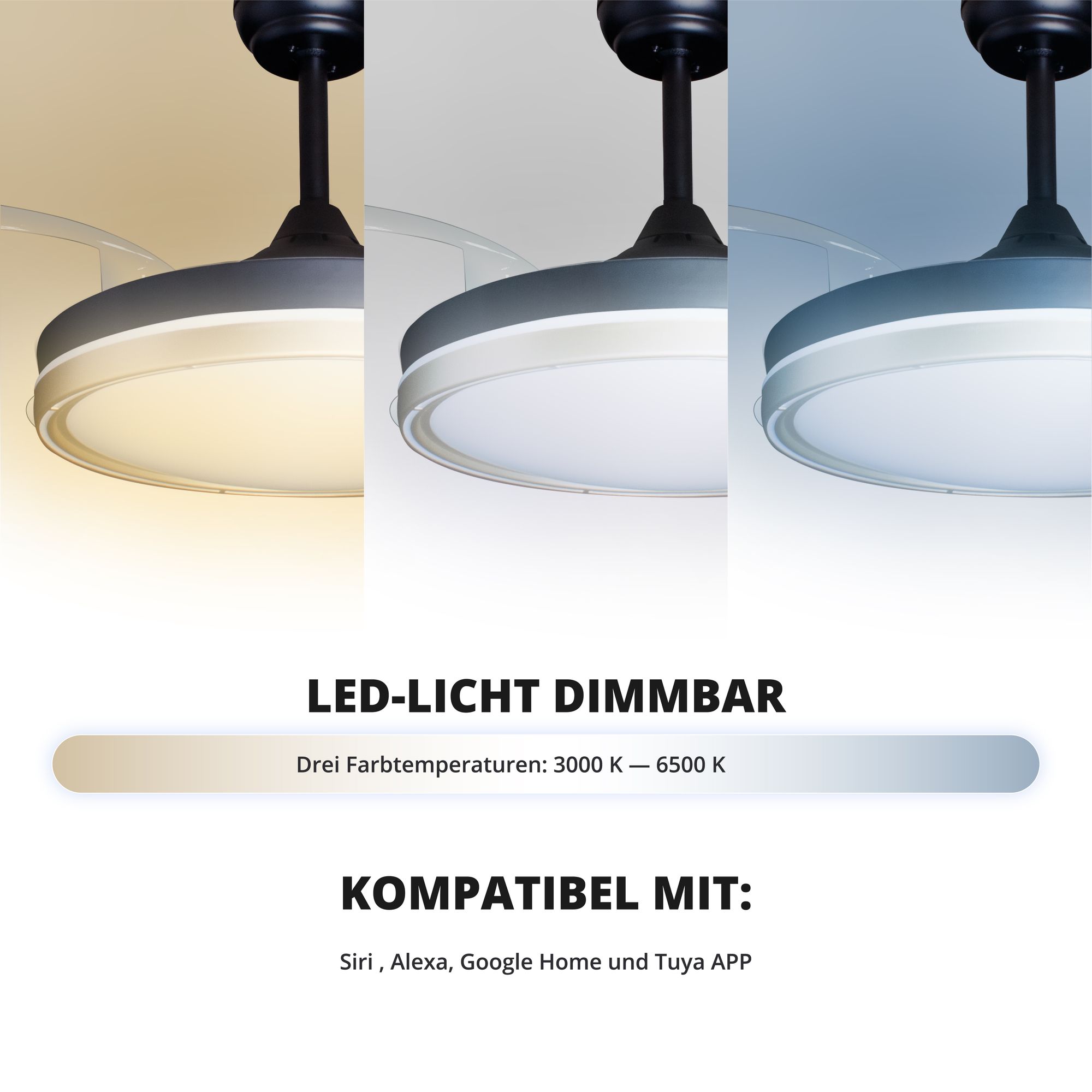 Deckenventilator mit Beleuchtung – schwarze Basis, modernes Design & LED-Licht – Bild 28