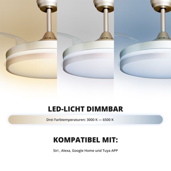 Deckenventilator mit Beleuchtung – goldfarbene Basis, modernes Design & LED-Licht