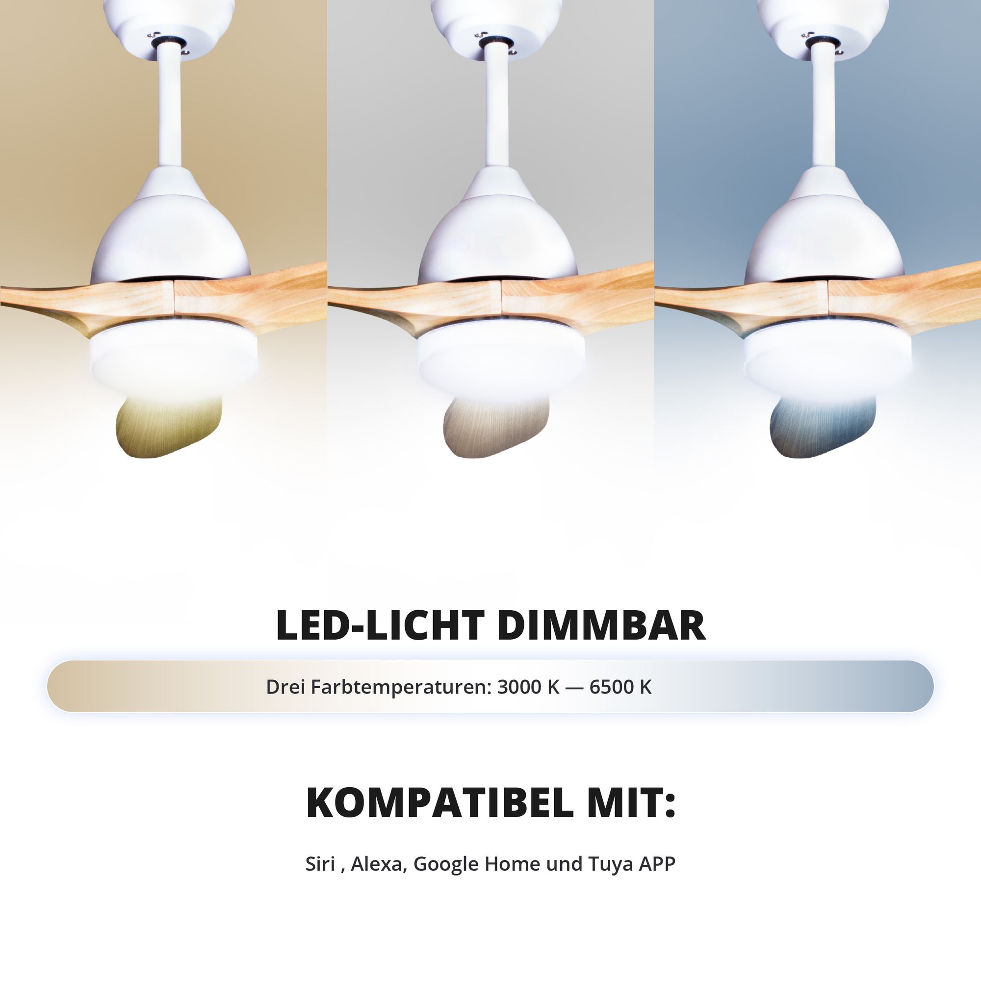 Deckenventilator mit Beleuchtung Modell Airora und Airora XL