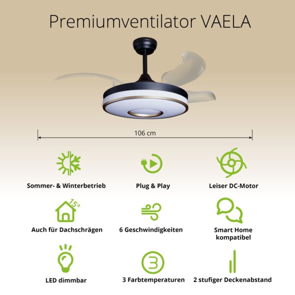Deckenventilator mit Beleuchtung – schwarze Basis, modernes Design & LED-Licht