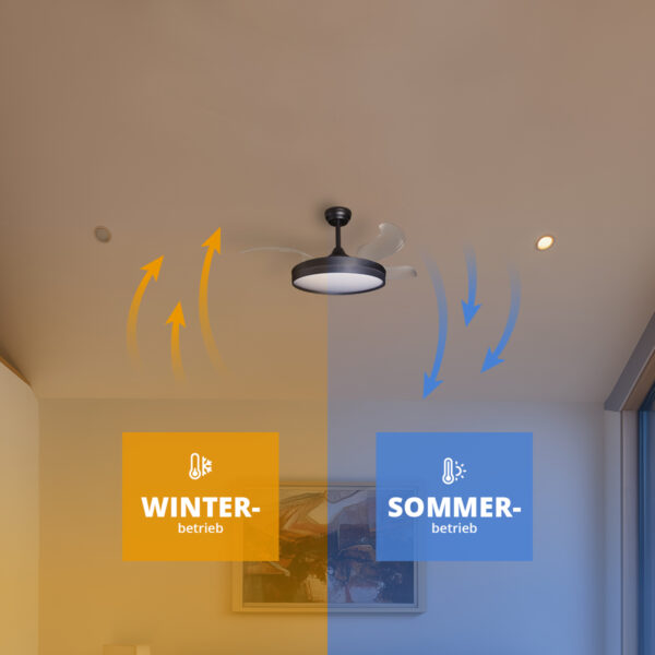 Deckenventilator mit Beleuchtung – schwarze Basis, modernes Design & LED-Licht