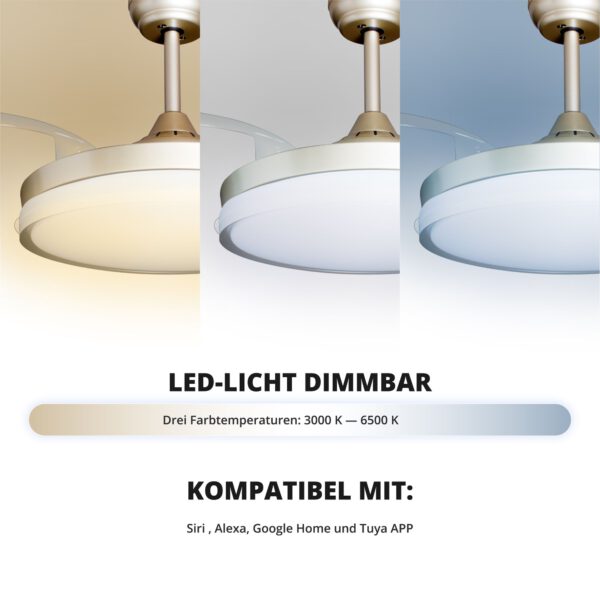 Deckenventilator mit Beleuchtung – goldfarbene Basis, modernes Design & LED-Licht