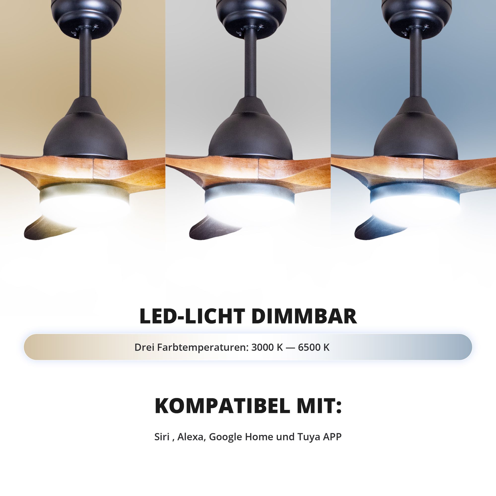 Deckenventilator mit Beleuchtung Modell Ventro und Ventro XL