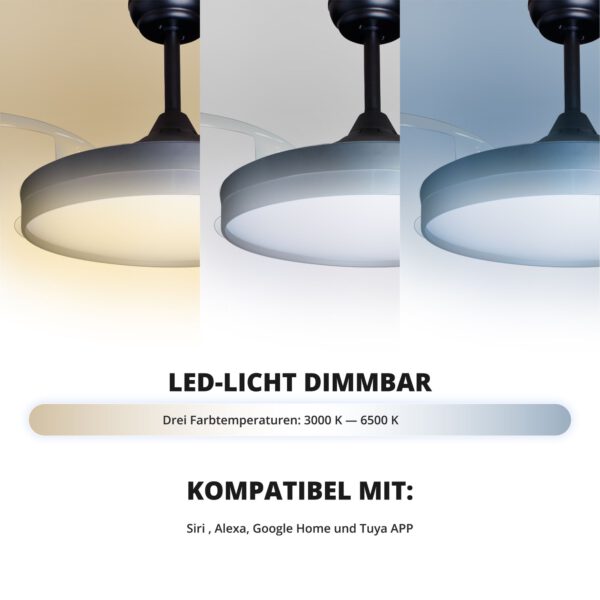 Deckenventilator mit Beleuchtung – schwarze Basis, modernes Design & LED-Licht