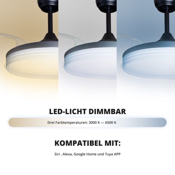 Deckenventilator mit Beleuchtung – schwarze Basis, modernes Design & LED-Licht